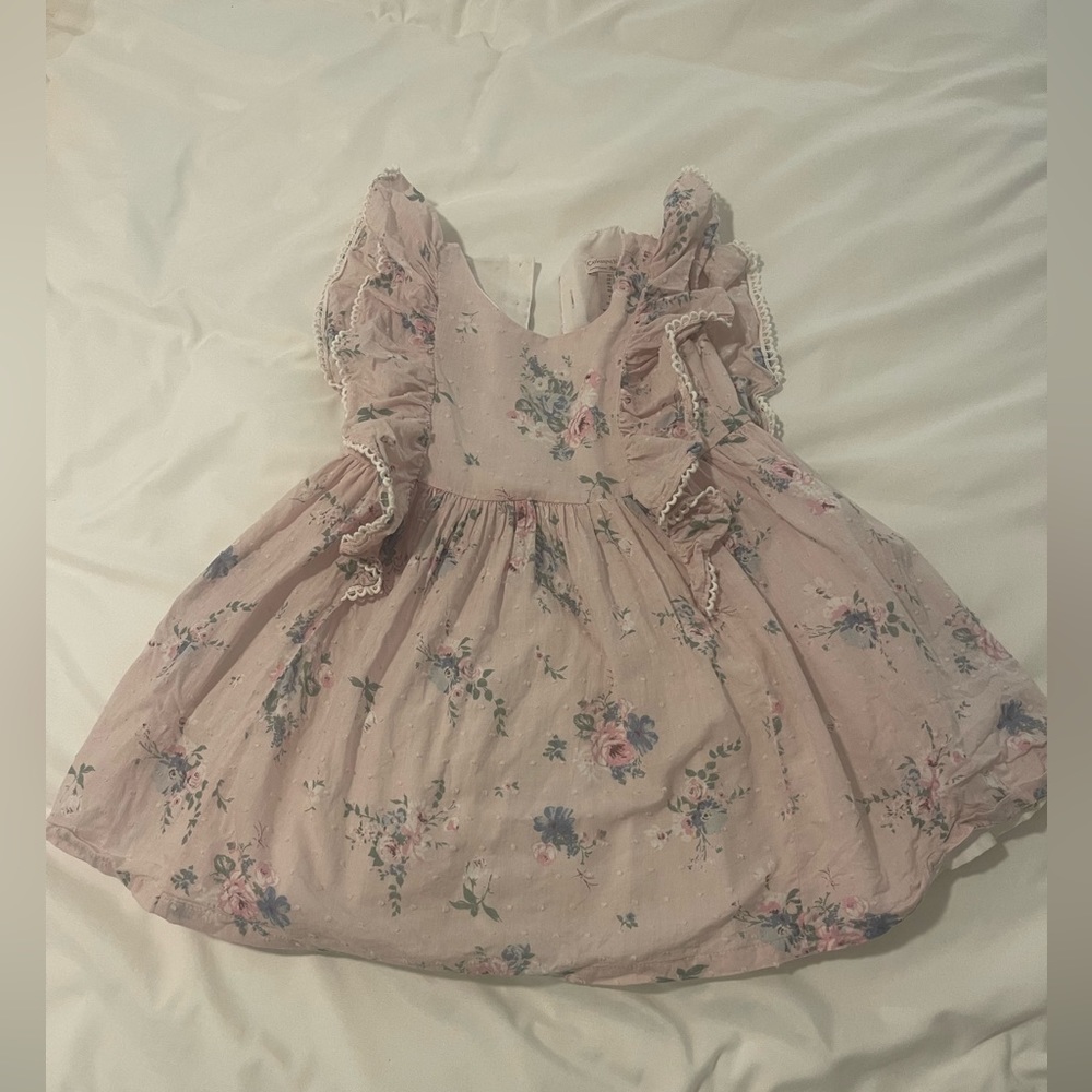 Catherine Malandrino mini 3T Dusty Rose girls dress Swiss dot